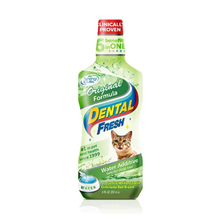 Dental Fresh